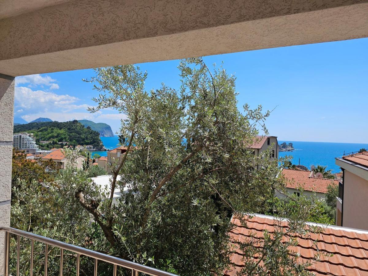 Medin Apartments Bluvista Petrovac Dış mekan fotoğraf