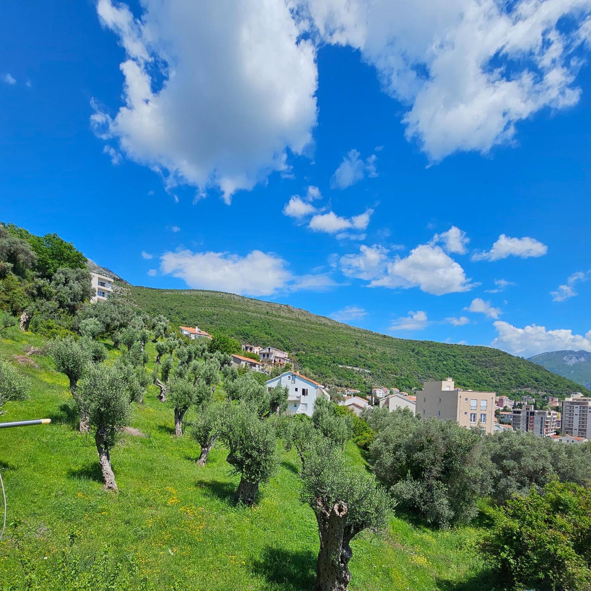 Medin Apartments Bluvista Petrovac Dış mekan fotoğraf
