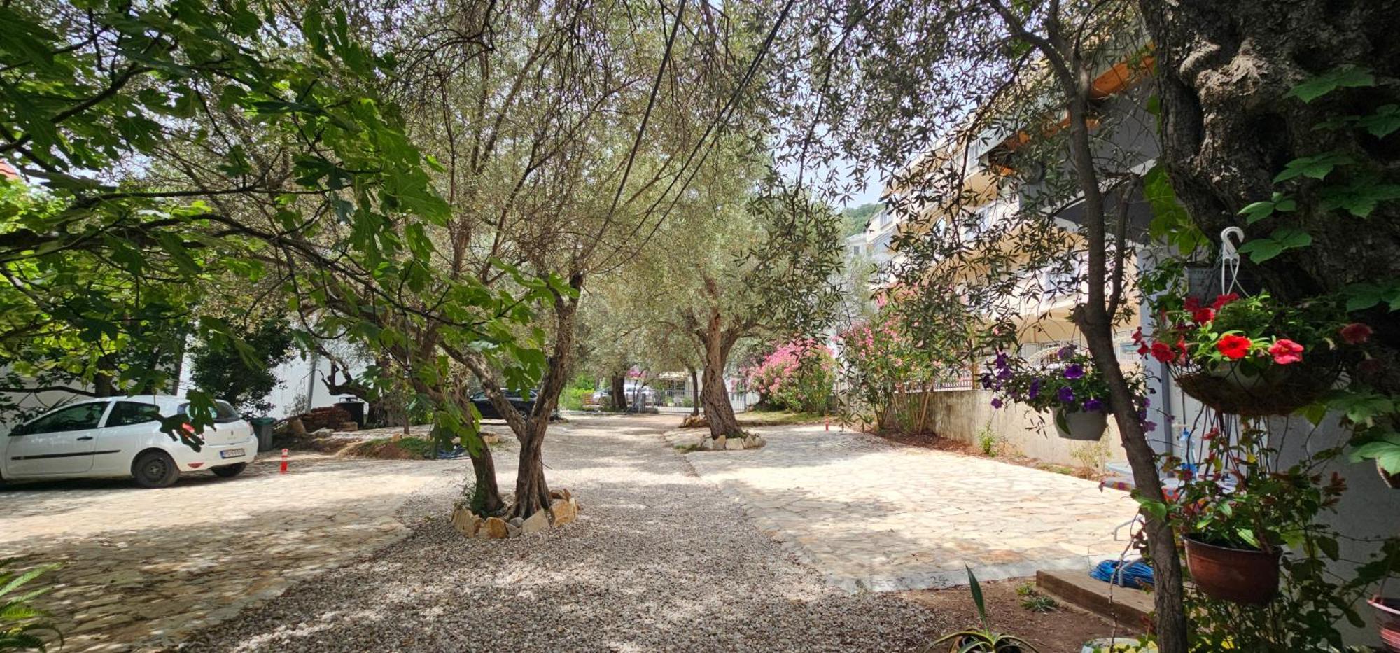Medin Apartments Bluvista Petrovac Dış mekan fotoğraf